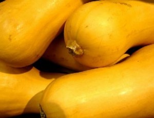 butternut squash